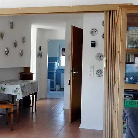 Mohr - Mit Dachterrasse